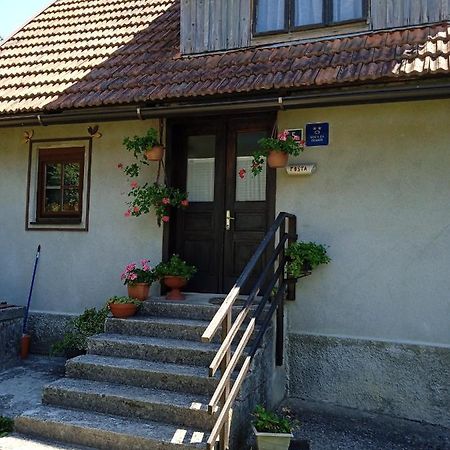 Villa Kuca Za Odmor Lesnica Brod na Kupi Exterior foto